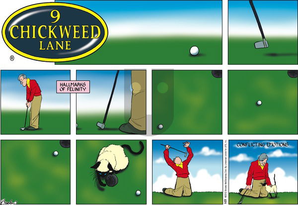 9 Chickweed Lane on Sunday January 22, 2012 Comic Strip