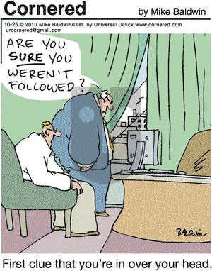 Cornered on Monday October 25, 2010 Comic Strip