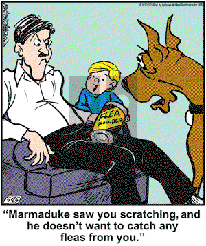 Marmaduke on Wednesday May 25, 2022 Comic Strip