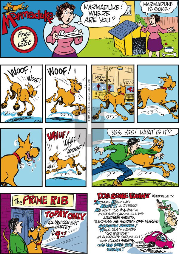 Marmaduke on Sunday January 12, 2014 Comic Strip