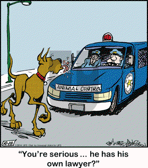 Marmaduke on Saturday October 18, 2014 Comic Strip