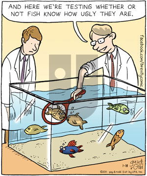 Brevity on Tuesday January 18, 2011 Comic Strip