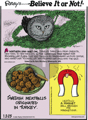 Ripley's Believe It or Not on Friday December 25, 2020 Comic Strip