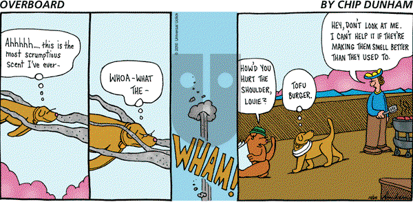 Overboard - Sunday October 24, 2010 Comic Strip