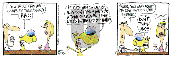 The Duplex on Saturday October 4, 2008 Comic Strip