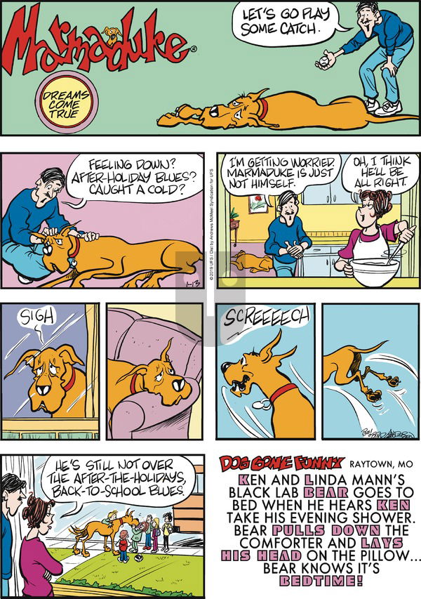 Marmaduke on Sunday January 13, 2019 Comic Strip