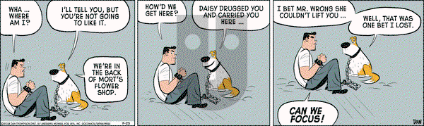 Rip Haywire on Wednesday July 25, 2018 Comic Strip