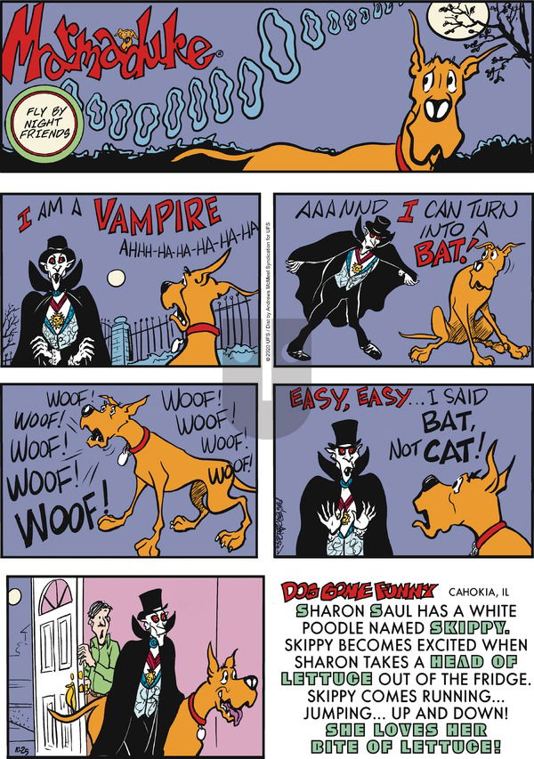 Marmaduke on Sunday October 25, 2020 Comic Strip