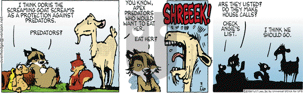 Over the Hedge on Thursday February 26, 2015 Comic Strip
