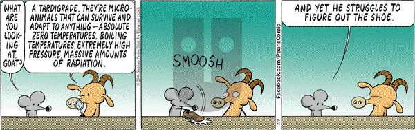 Pearls Before Swine on Tuesday February 9, 2016 Comic Strip