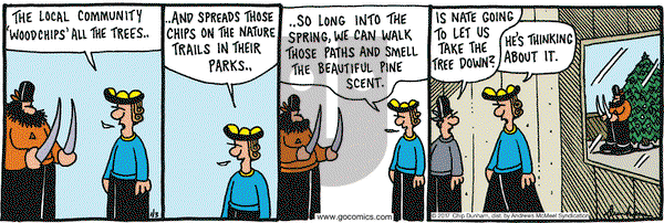 Overboard on Tuesday January 3, 2017 Comic Strip