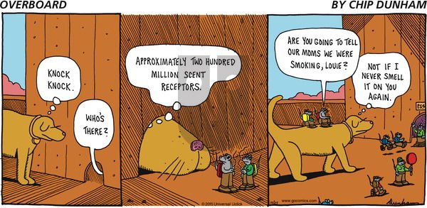 Overboard on Sunday October 25, 2015 Comic Strip