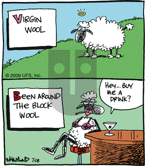 Reality Check on Tuesday July 28, 2009 Comic Strip