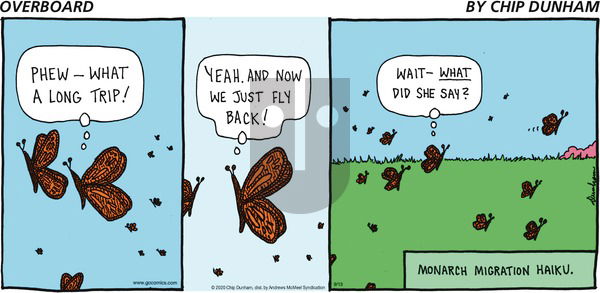 Overboard on Sunday September 13, 2020 Comic Strip
