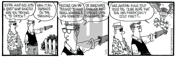Monty on Wednesday October 17, 2007 Comic Strip