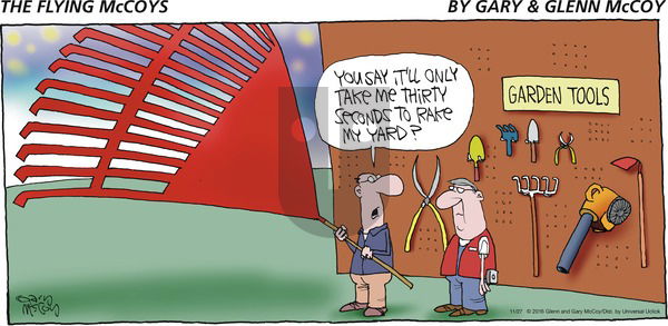 The Flying McCoys on Sunday November 27, 2016 Comic Strip