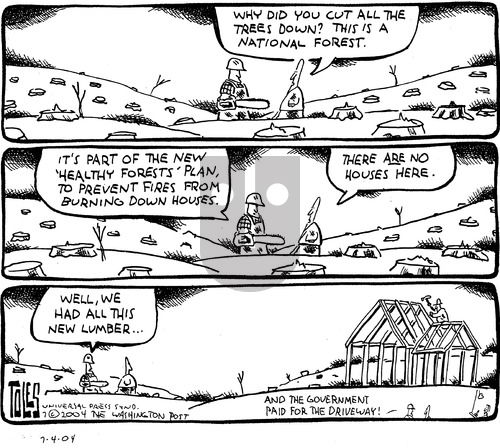 Tom Toles on Sunday July 4, 2004 Comic Strip