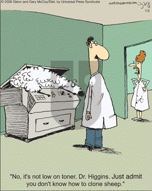 The Flying McCoys on Thursday July 2, 2009 Comic Strip