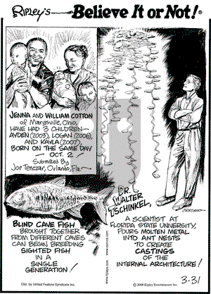 Ripley's Believe It or Not on Monday March 31, 2008 Comic Strip
