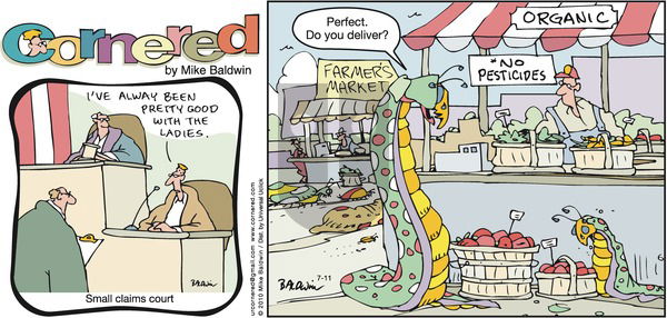 Cornered on Sunday July 11, 2010 Comic Strip