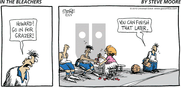 In the Bleachers - Sunday May 23, 2010 Comic Strip