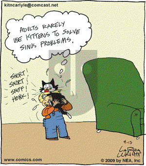 Kit 'N' Carlyle on Monday April 13, 2009 Comic Strip