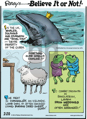 Ripley's Believe It or Not on Saturday February 20, 2016 Comic Strip