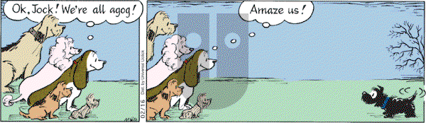 Fred Basset on Wednesday February 16, 2011 Comic Strip