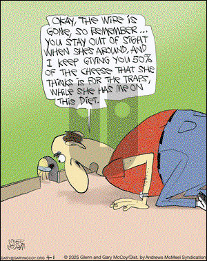 The Flying McCoys on Tuesday April 1, 2025 Comic Strip