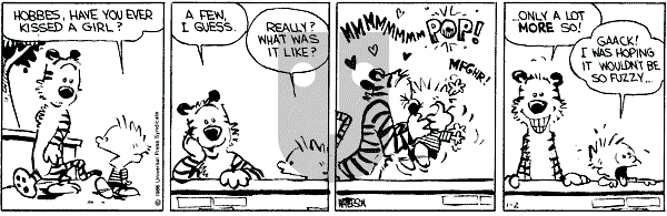 Calvin and Hobbes - Thursday January 2, 1986 Comic Strip
