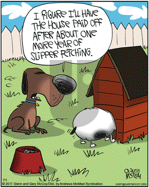 The Flying McCoys on Saturday July 1, 2017 Comic Strip