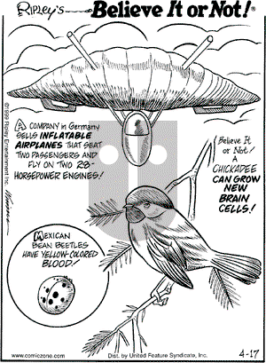 Ripley's Believe It or Not on Saturday April 17, 1999 Comic Strip