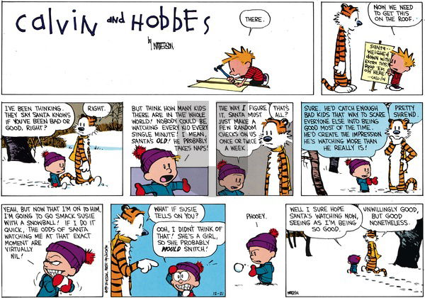 Calvin and Hobbes on Sunday December 21, 2014 Comic Strip