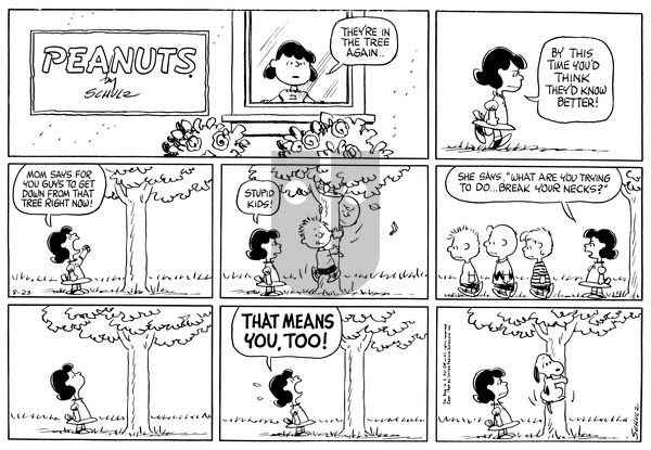 Peanuts on Sunday August 23, 1964 Comic Strip