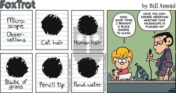 FoxTrot - Sunday September 29, 2024 Comic Strip