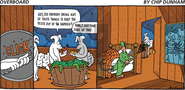 Overboard on Sunday June 20, 2010 Comic Strip