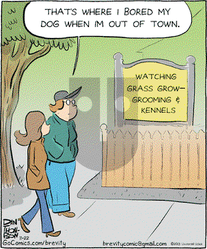 Brevity on Friday November 22, 2013 Comic Strip