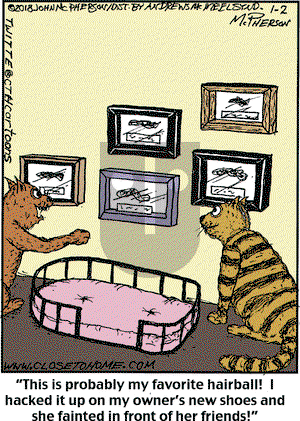Close to Home on Tuesday January 2, 2018 Comic Strip