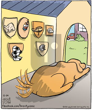 Brevity on Saturday December 4, 2010 Comic Strip