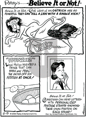 Ripley's Believe It or Not on Tuesday August 8, 2000 Comic Strip
