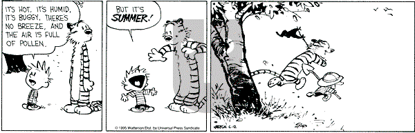 Calvin and Hobbes - Monday June 12, 1995 Comic Strip
