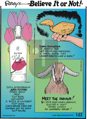 Ripley's Believe It or Not on Friday January 22, 2021 Comic Strip