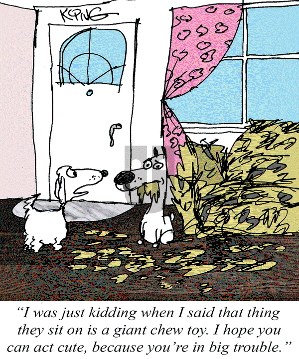 Jerry King Comics on Monday March 31, 2025 Comic Strip