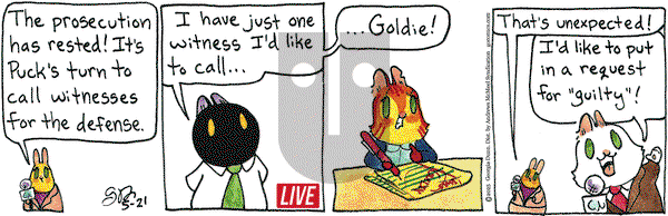 Breaking Cat News on Wednesday May 21, 2025 Comic Strip