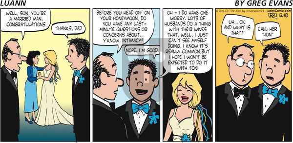 Luann on Sunday December 18, 2016 Comic Strip
