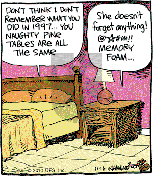 Reality Check on Tuesday November 16, 2010 Comic Strip
