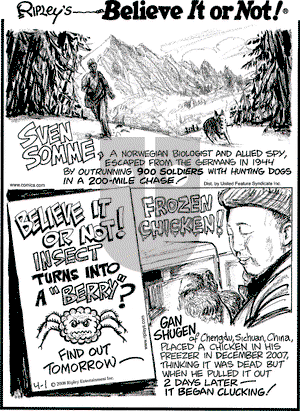 Ripley's Believe It or Not on Tuesday April 1, 2008 Comic Strip