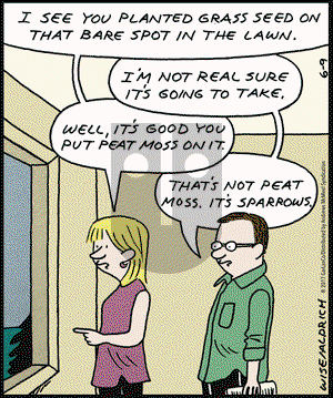 Real Life Adventures on Friday June 9, 2017 Comic Strip