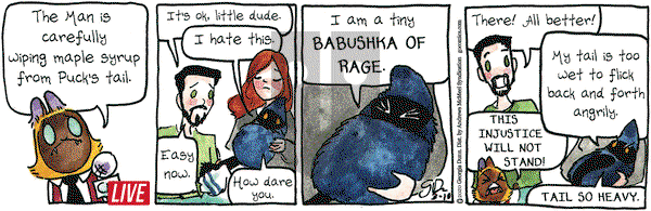 Breaking Cat News on Tuesday March 10, 2020 Comic Strip