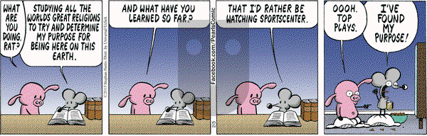 Pearls Before Swine on Tuesday February 3, 2015 Comic Strip